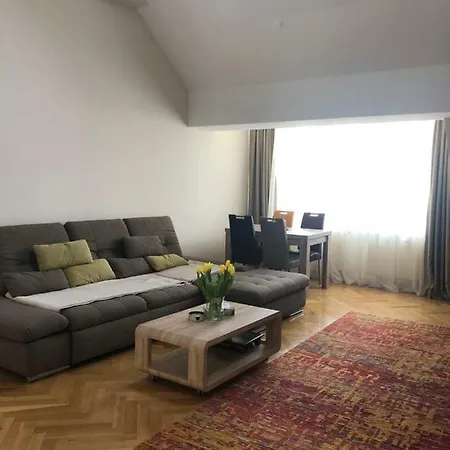 Loft With Terrace Apartment